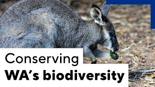 A boost to conserving WA biodiversity