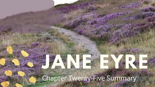 Jane Eyre: Chapter Twenty-Five Summary Net Worth