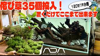Aquarium] Layout with 35 ADA Wabi-Kusa! Just place them to create