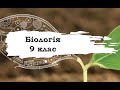 Біологія. 9 клас. 19