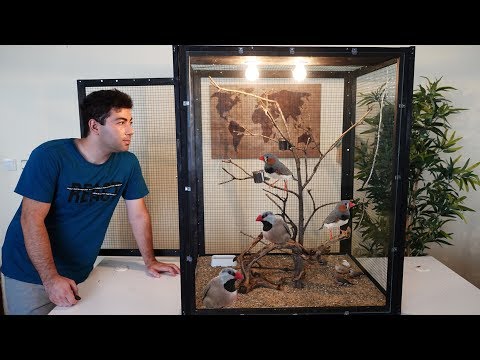 Kuş Kafesi Yapımı - Muhabbet Kuşu Papağan İspinoz Ahşap Kafes