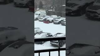Snowing again #ytshorts #snow #onstorm #winter #mississauga #snowing #snowfall