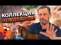 10 РАЗГОВОРОВ С КОЛЛЕКТОРИШКАМИ! | БАНКРОТСТВО | Кузнецов | Аллиам