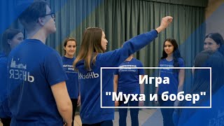 Игра "Муха и бобер"