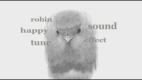 The Animal Sounds: Robin Happy Tune / Sound Effect / Animation