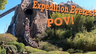 Expedition Everest at Walt Disney World  Animal Kingdom, FL OnRide POV! (4K)(2024) ⛰