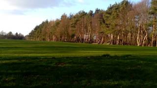 Rome, Cooper And Cole Practising Ninja Disappearing.