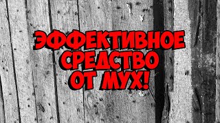 ЛУЧШЕЕ и Дешёвое средство от МУХ! / КАК уничтожить МУХ!💪