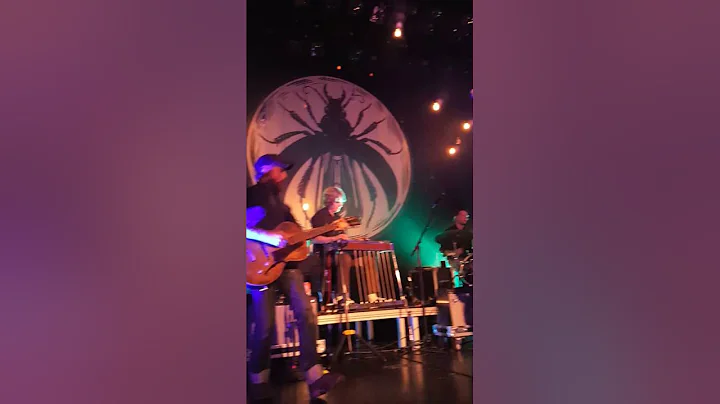 "The Devil Makes Three "  Three Beneath the Piano 5/21/16