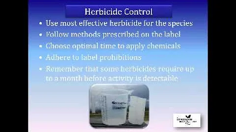 Tools and Equipment for the Management of Invasive Species in Natural Areas