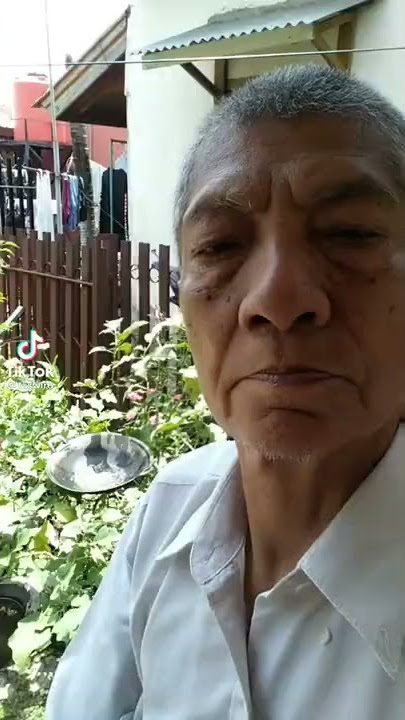 lagu tiktok viral gara gara ikan ini mama buang balanga