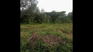 Tigoni at Banana Raini Road - Land For Sale