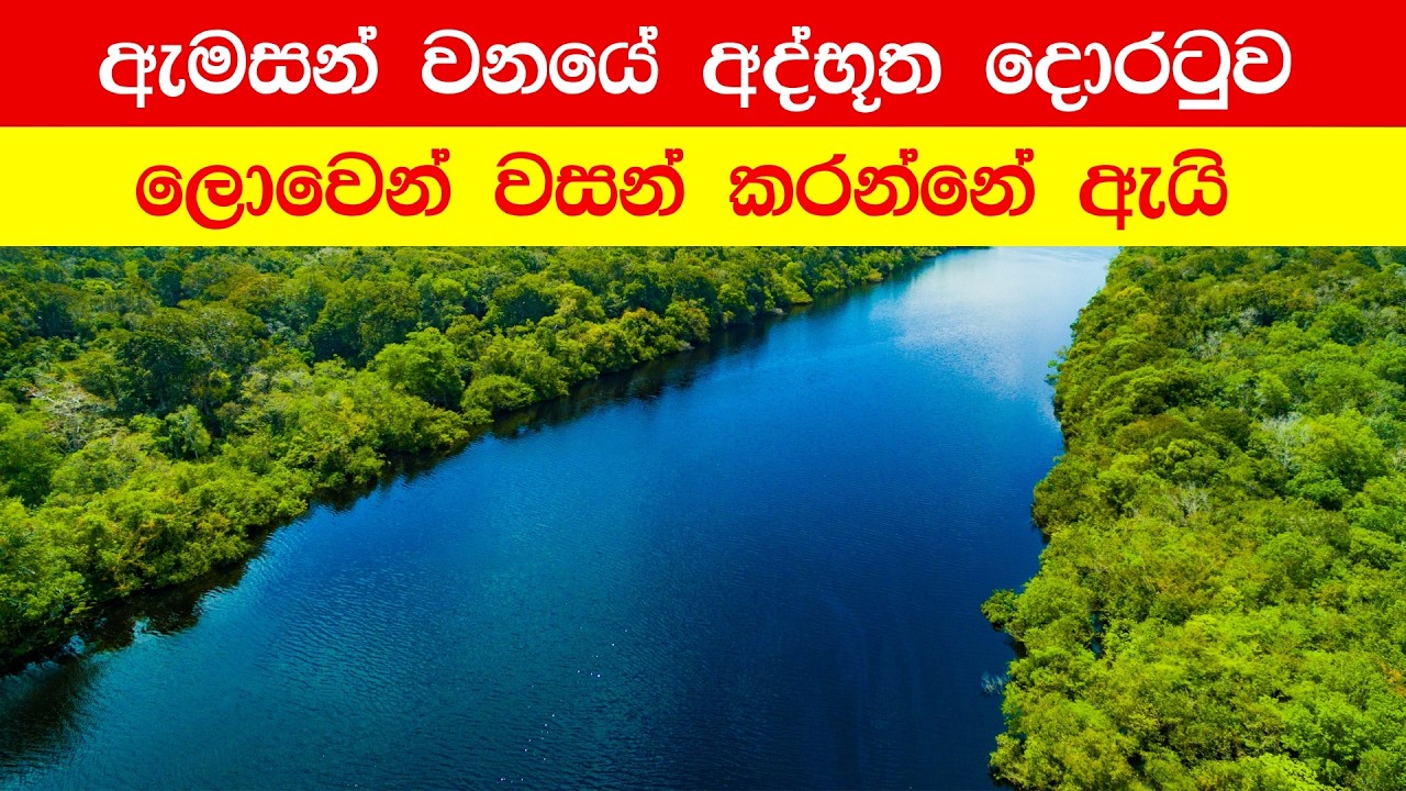 ඇමසන් යට තිබූ අමුතු ව්‍යුහය… විද්‍යාඥයන් පලාගියේ ඇයි? | ඇමසන් වනාන්තරය යට ‘පෝර්ටල්’ එකක්ද?
