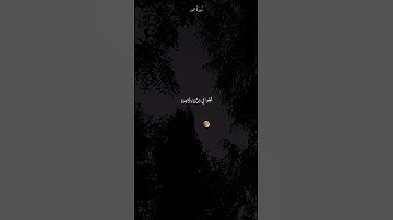 ما هو اسم القارئ؟؟ _سورة النور #القرآن_الكريم #اكسبلور #اكتب_شي_تؤجر_عليه