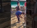 #horse #equestrianjourney #fypviral #shorts #hoofing #farrierlife #farrier