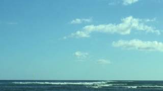 ハワイ旅行でお土産を買うなら　プレゼントに　ギフトに　人気がある レスポートサック LeSportSac