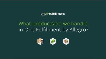 What products do we handle in One Fulfillment by Allegro?