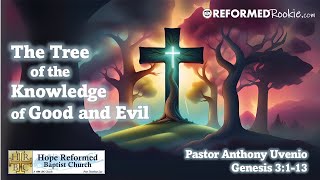 The Tree: Genesis 3:1-14