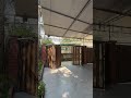 Cổng 4 cánh tự động
