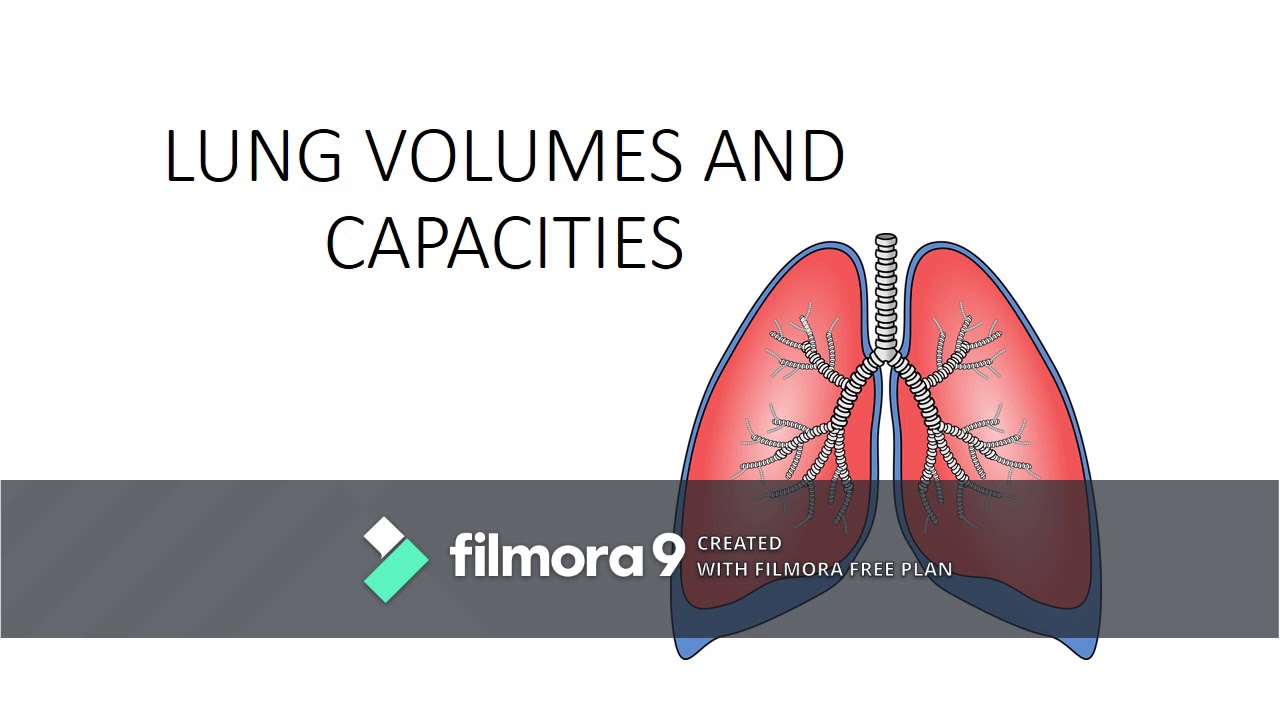 Pulmonary Volumes And Capacities Chart