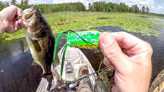 Let's Catch Some Frog Bass!