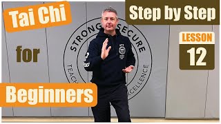 Tai Chi for Beginners~ Step by Step 12- High Pat on Horse