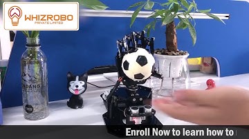 uHANDBIT (part 2) / Bionic Robot