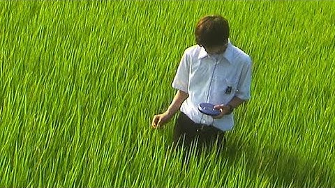 All About Lily Chou Chou English Sub