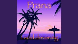 Magic Fairies - Prana