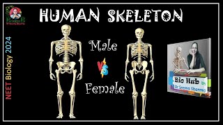 Skeleton in your lab : Male or Female ?!
