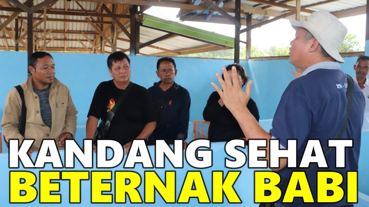 KRITERIA KANDANG  YANG SEHAT UNTUK PETERNAKAN BABI SEMI MODERN DI BULUNGAN, KALIMANTAN UTARA