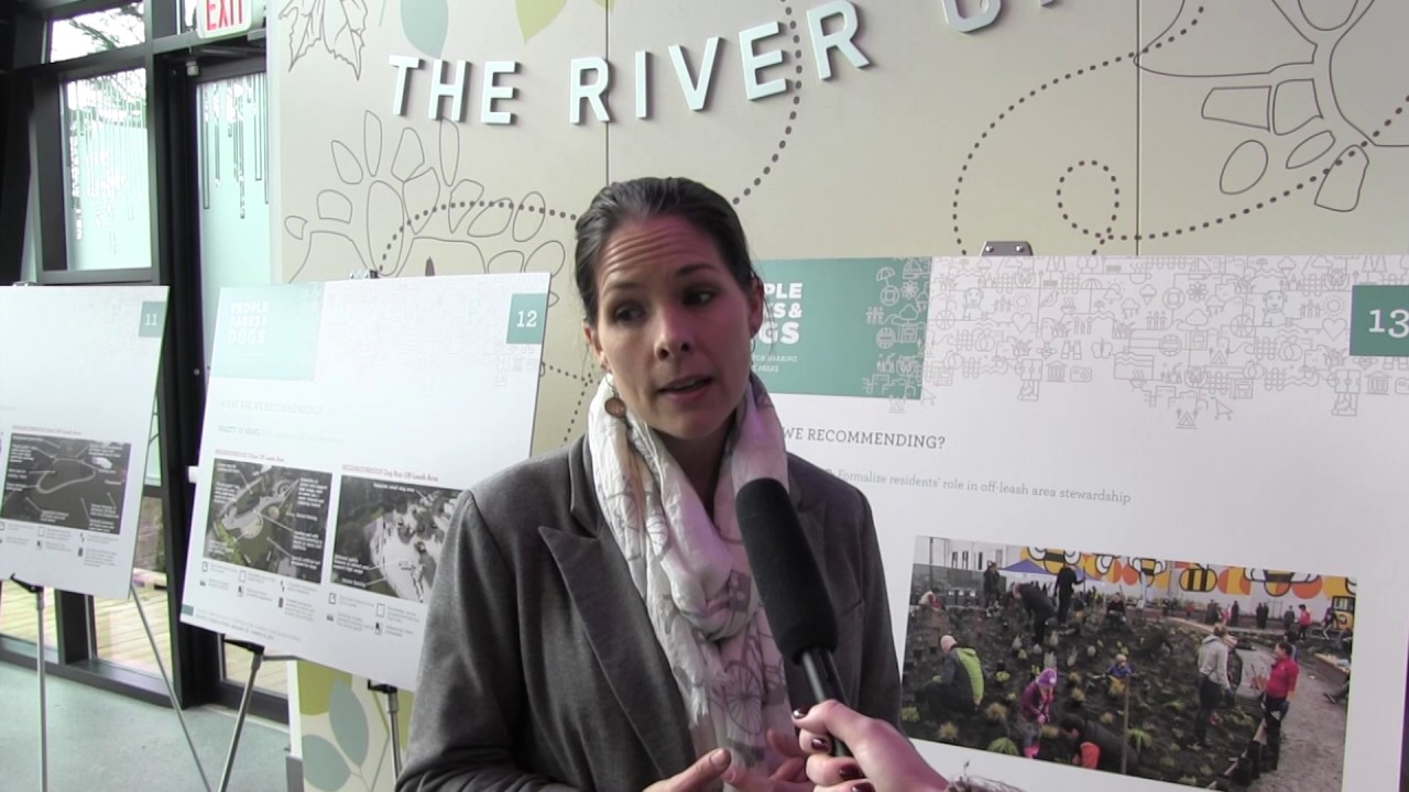 Vancouver Park Board considers changes to off-leash dog parks