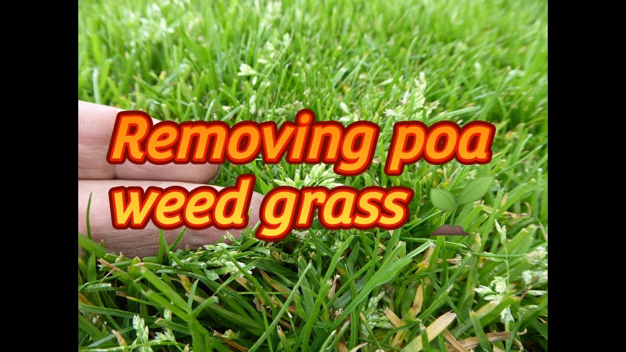 Quick update 7 days after  