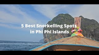 Five Best Snorkelling Spots in Phi Phi Islands (Thailand) - 2026 Travel Guide