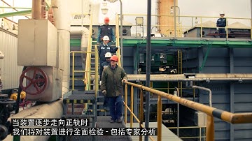 Topsoe service_WSA_Chinese