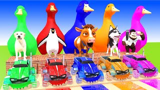 5 Giant Duck, Monkey, Piglet, chicken, dog, cat, cow, lion, Sheep, Transfiguration funny animal 2024