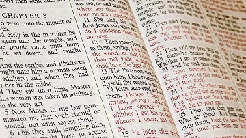 BLB Tutorial 3 1   Simple Search