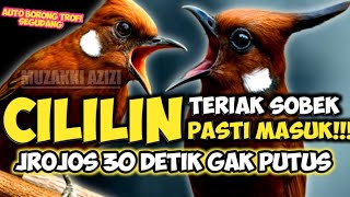 Download Lagu PASTI SOBEK!!! CILILIN NGEROL 30 DETIK GAK PUTUS || MASTERAN CILILIN PANJANG JERNIH || CILILIN GACOR MP3 Download Lagu PASTI SOBEK!!! CILILIN NGEROL 30 DETIK GAK PUTUS || MASTERAN CILILIN PANJANG JERNIH || CILILIN GACOR MP3