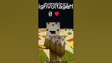 I Made a NEW Friend with EPAL!