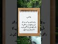 Bano qudsia Deep Talk Urdu #shorts #islamicquotes