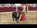 Vente a los Toros - (09/01/2013)