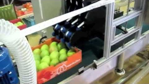 Hadran Tray Lableler