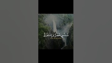 #اطفال #اكسبلور #ترند #قرآن #تلاوات #ترند_السعودية #shorte #سورة_الإنسان