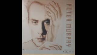 PETER MURPHY - TIME HAS GOT NOTHING TO DO WITH IT - B-2 (2021)