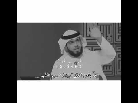 معنى الحب دكتور وسيم يوسف