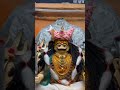 यळकोट यळकोट जय मल्हार 🚩#shorts #jaymalhar #trending #subscribe #marathi #malhar #khandoba #जयमल्हार