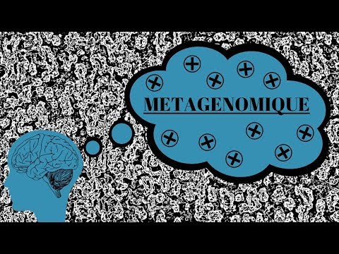 Vidéo: Différence Entre La Métagénomique Et La Métatranscriptomique