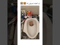 اغرب مقطع بيسدحك ضحك قطة مجنونة ترند السعودية تحديات اضحك