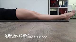 Early Stage ACL Rehab