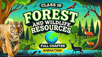 Forest and wildlife resources class 10 cbse one shot (Animation) | Class 10 geography chapter 2 bkp